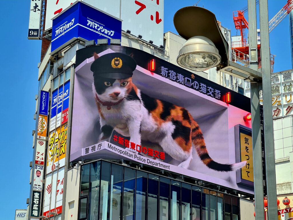 20240503_113326
